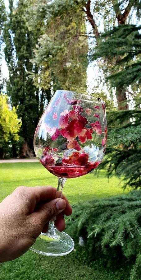 La Bignonia Posada Chacras de Coria Zewnętrze zdjęcie